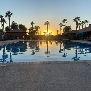 Meet your Posher, Carole